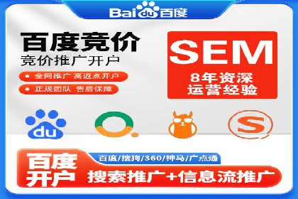 SEM代理服务：案例分享，效果显著